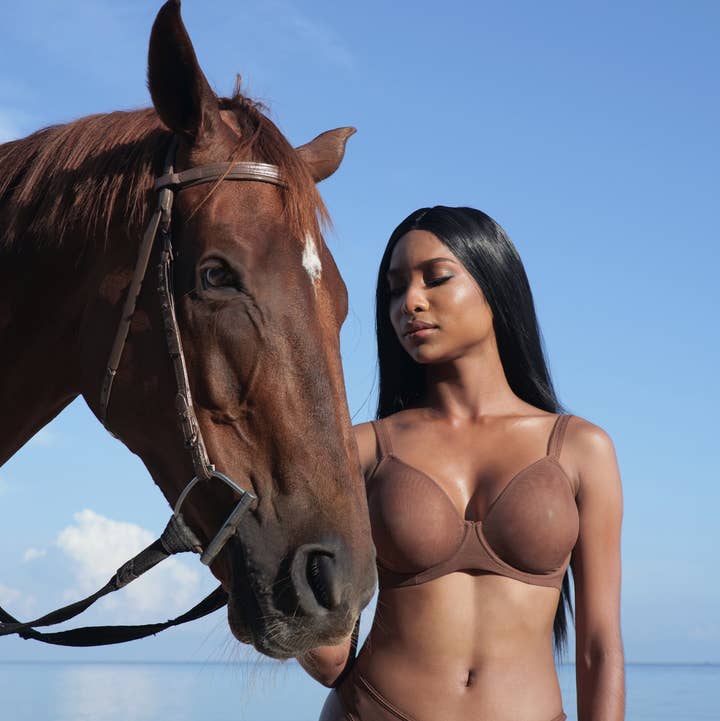 Amour d'Agnette - Wholesale Underwear - Women's - 5 Color Sheer Mesh Hipster0