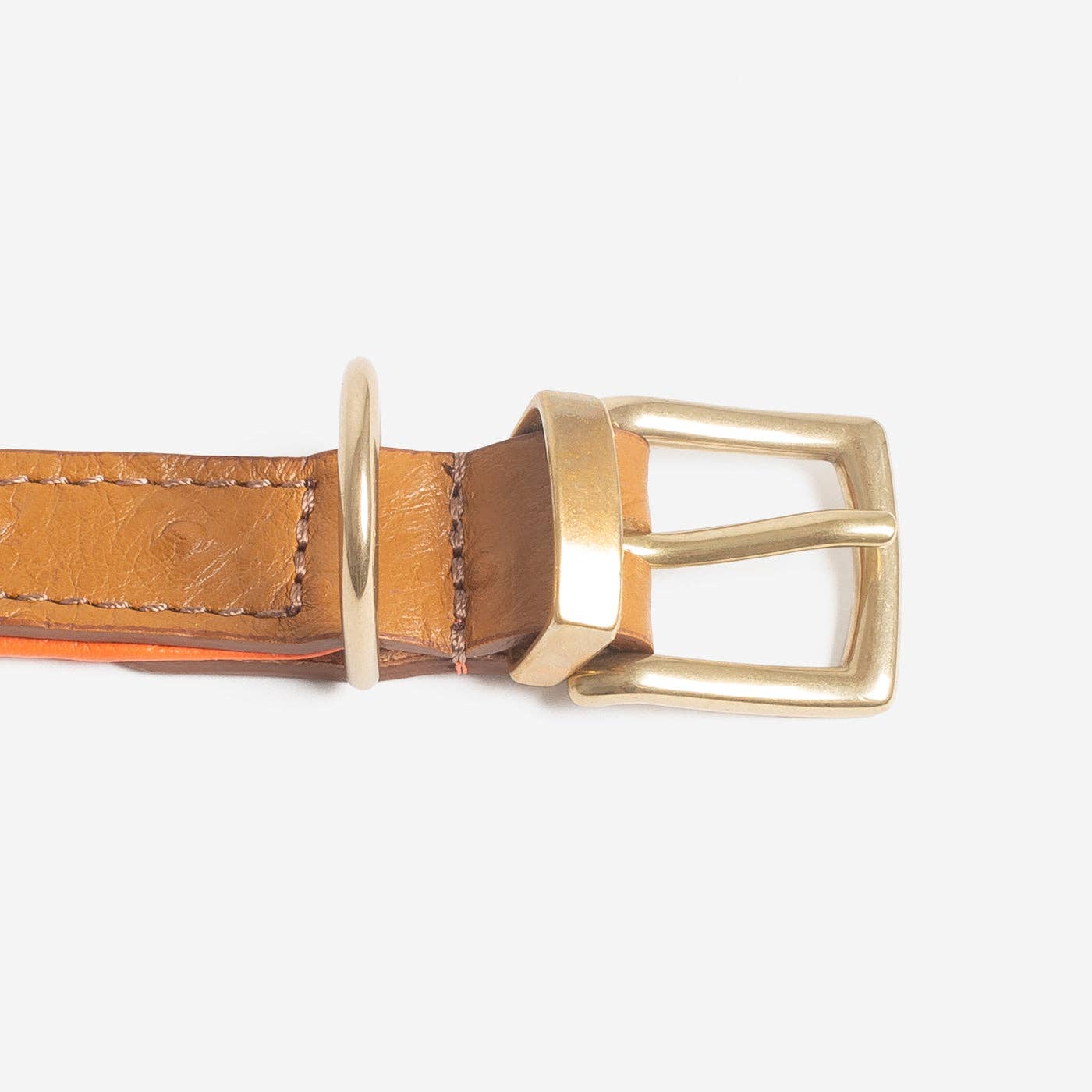 Ostrich Leather Dog Collar in Tan & Orange for wholesale on Faire7