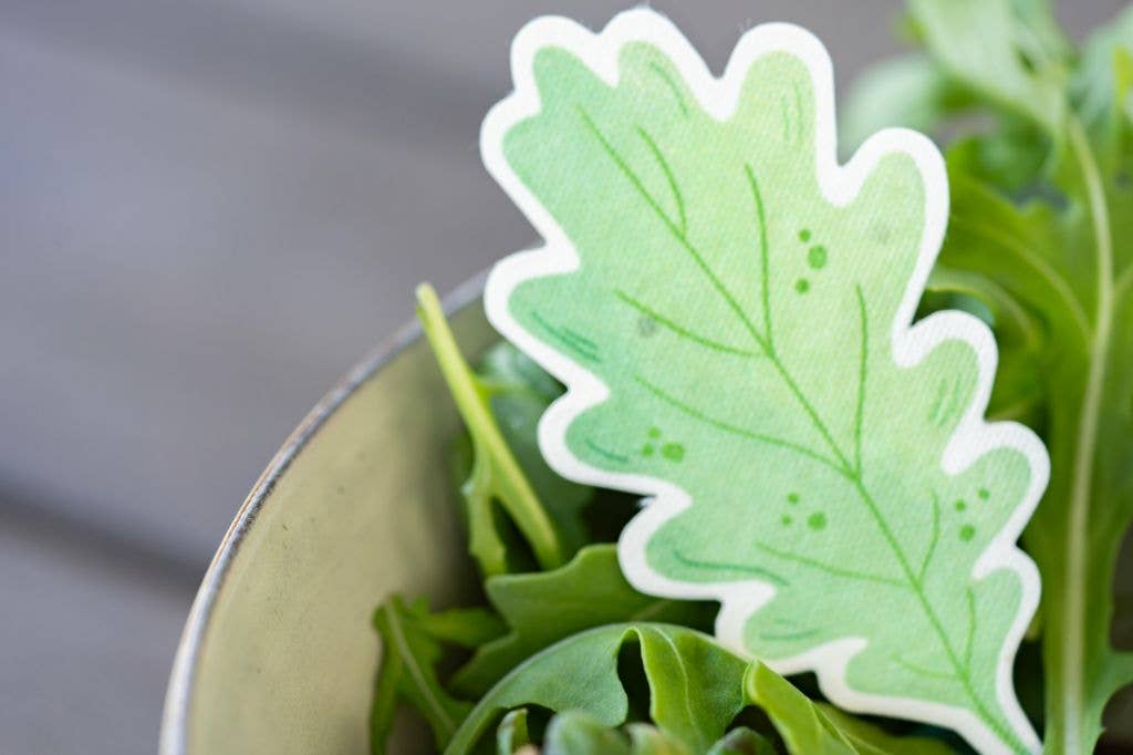 ToyBoxTown – Großhandel Pflanzensamen – Samenpapier zum Anpflanzen von Rucola, 10 Stück7