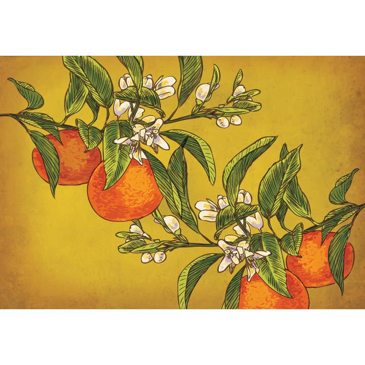 Rigel Paper – wholesale Art print – Oranges Art Print