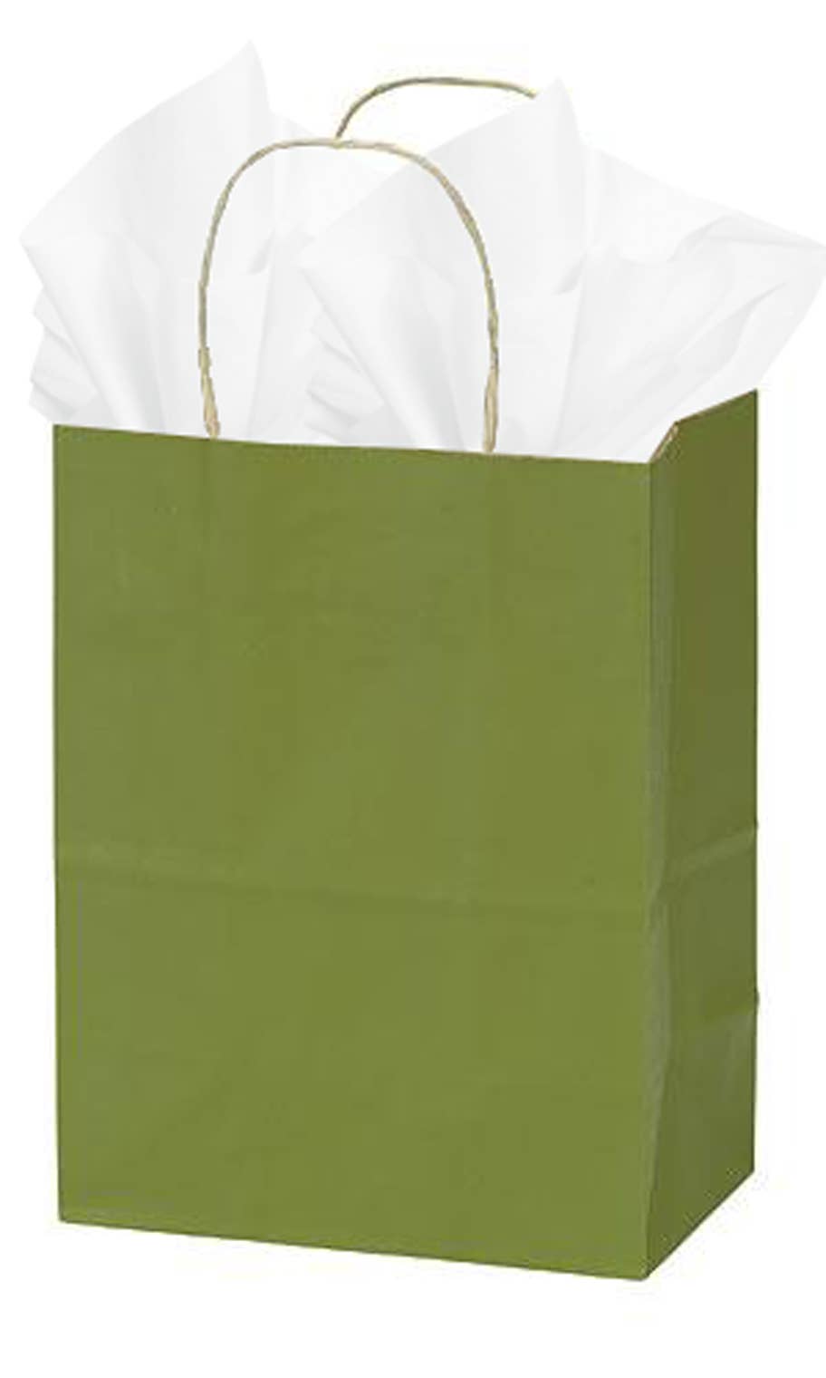 Store Supply Warehouse - Wholesale Gift Bag - Colorful Kraft Paper Shopping Bags33