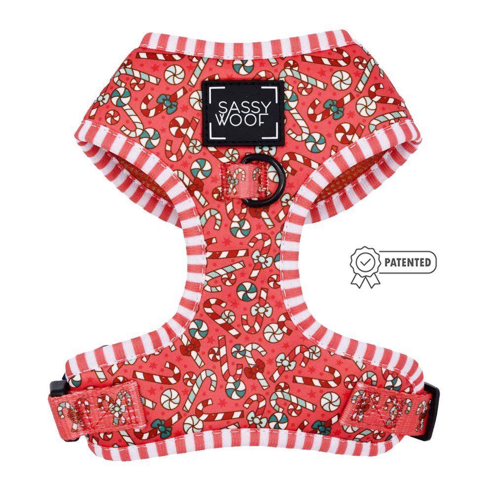 SASSY WOOF - Wholesale Pet Harness - Dog - Dog Adjustable Harness - Puppermint Twist0