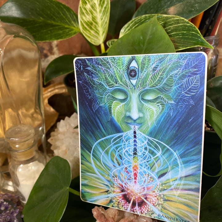 Chlorophyll art sticker for wholesale by Annie Kyla Bennett Art