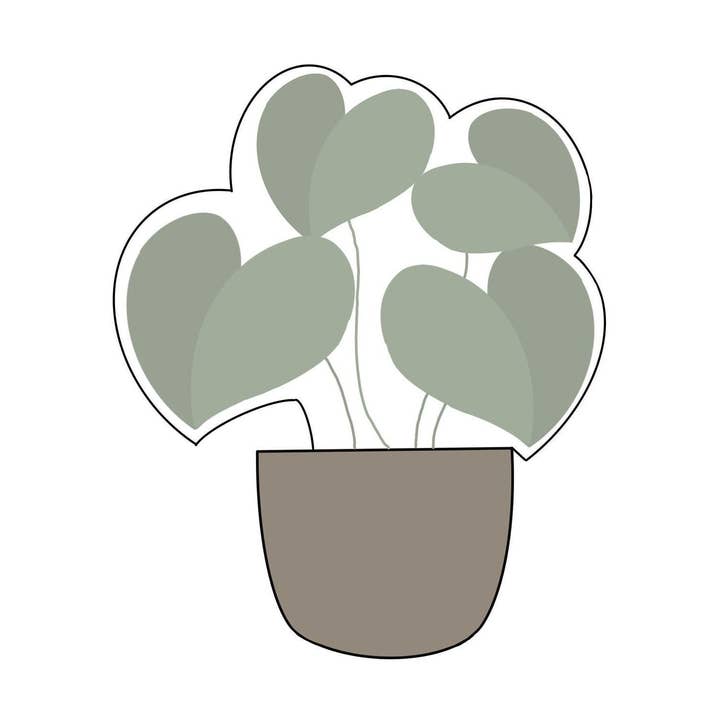 Pianta Monstera Leaf per la vendita all'ingrosso da parte di Maison’s Custom Cutters