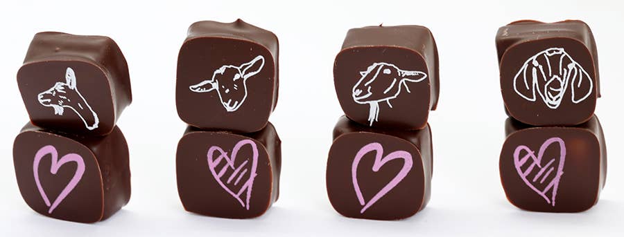 Big Picture Farm - Wholesale Chocolate Covered Sweets - Chocolate Covered Goat Milk Caramel with Hearts (Valentine)0
