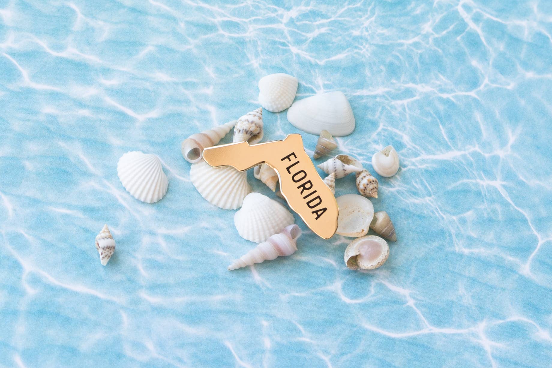 Everyday Olive - Wholesale Lapel Pin/Button - Florida Pin2