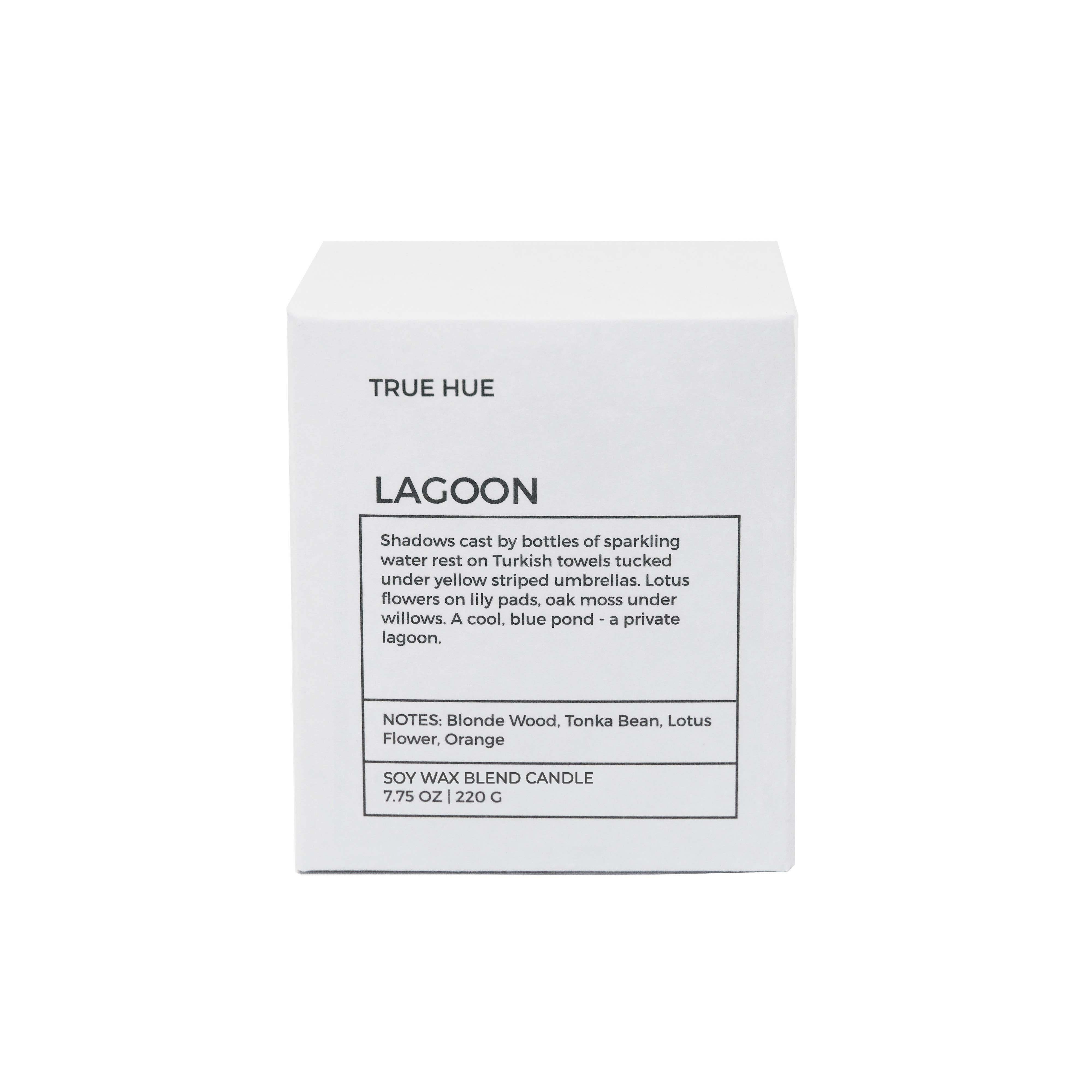 True Hue - Wholesale Pot/gevulde kaars - Lagoon kaars6