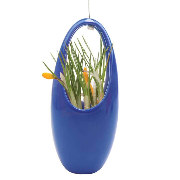 Chive - Vente Jardinière suspendue - Suspension pour plantes grasses