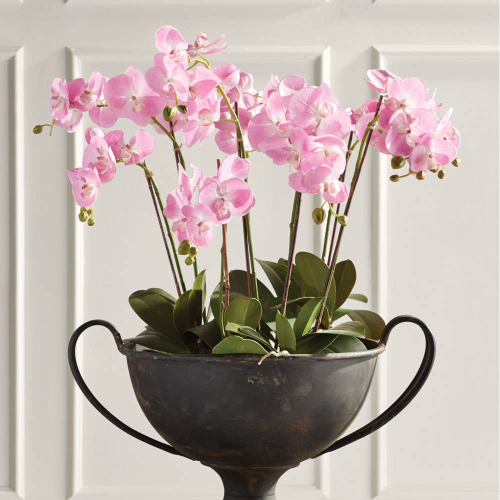 Napa Home & Garden - Vendita all'ingrosso Fiori finti - Phalaenopsis Orchid Drop-In 30"1
