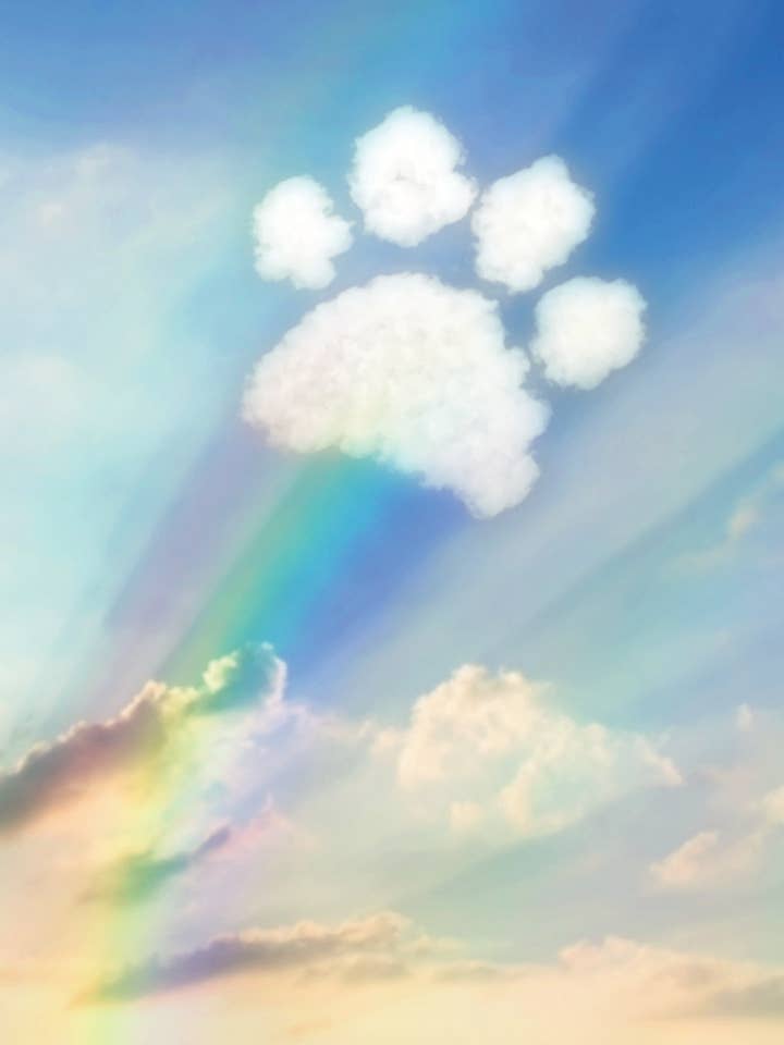 PSY/Paw Print Cloud for wholesale by Greeting Cards by Norcard