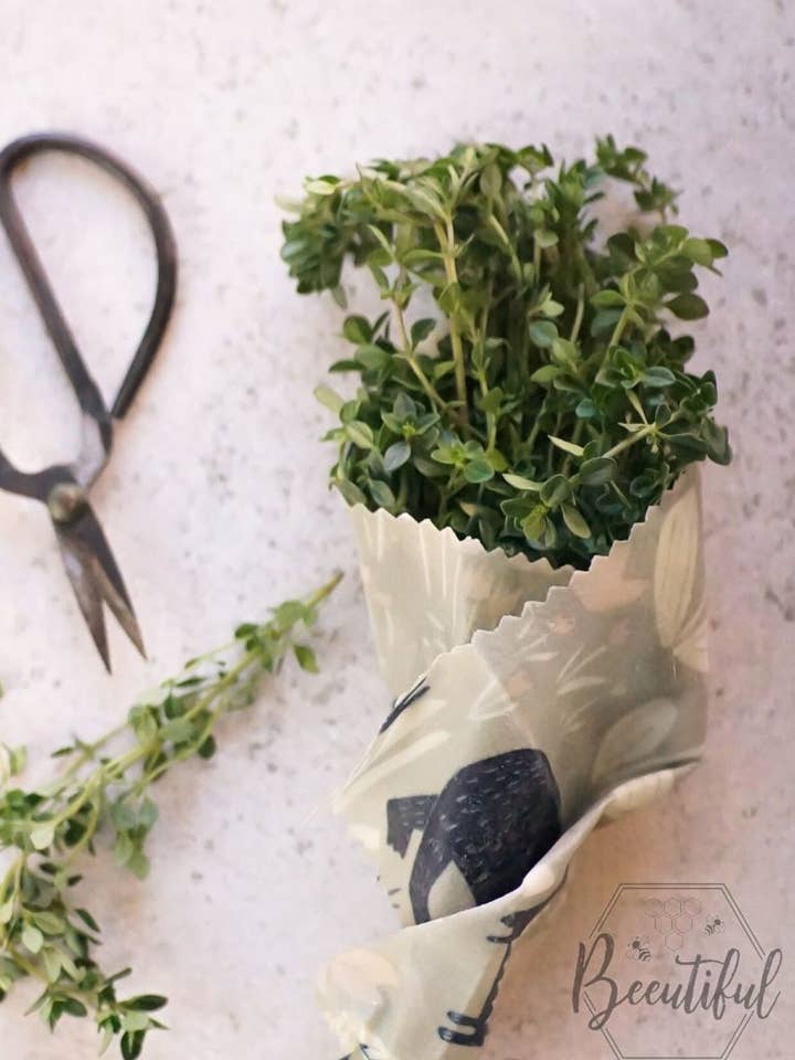 Beeswax Wrap | Small for wholesale by Beeutiful