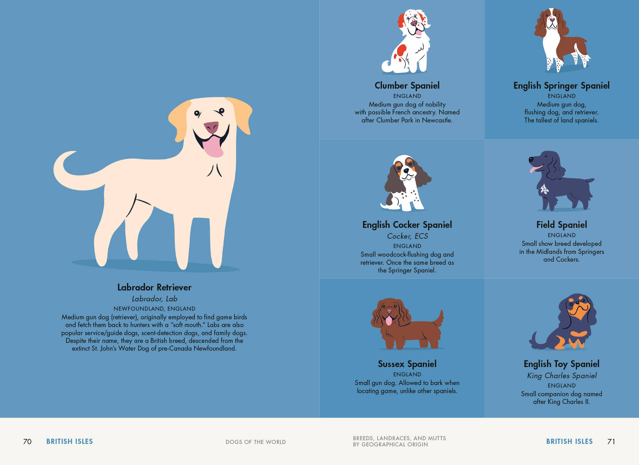 Penguin Random House LLC - Wholesale Pets - Dogs of the World3