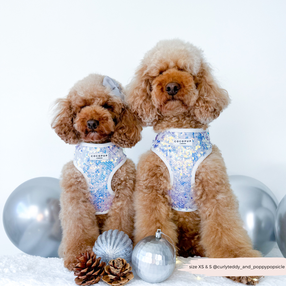 Cocopup London - Vendita all'ingrosso Pettorina - Cani - Imbracatura LUXE Party con Paillettes Olografiche16