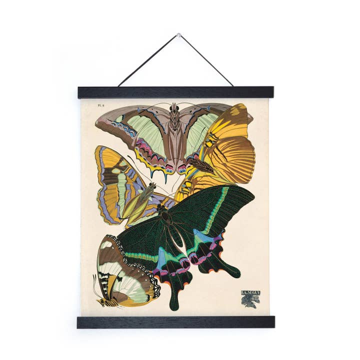 Vintage Seguy Butterfly 8 Print w/ optional frame for wholesale by Curious Prints