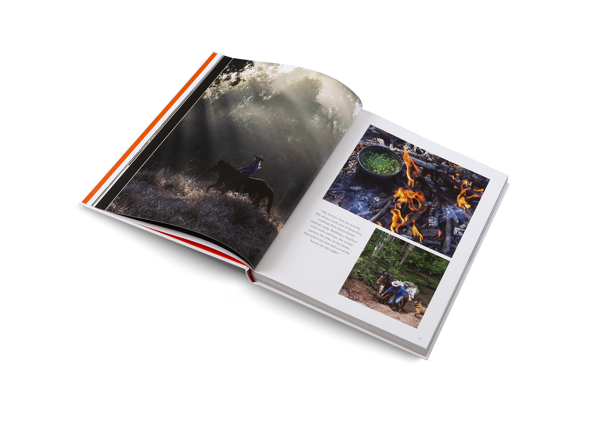 gestalten & teNeues - Wholesale Arts & Entertainment - Voyages5