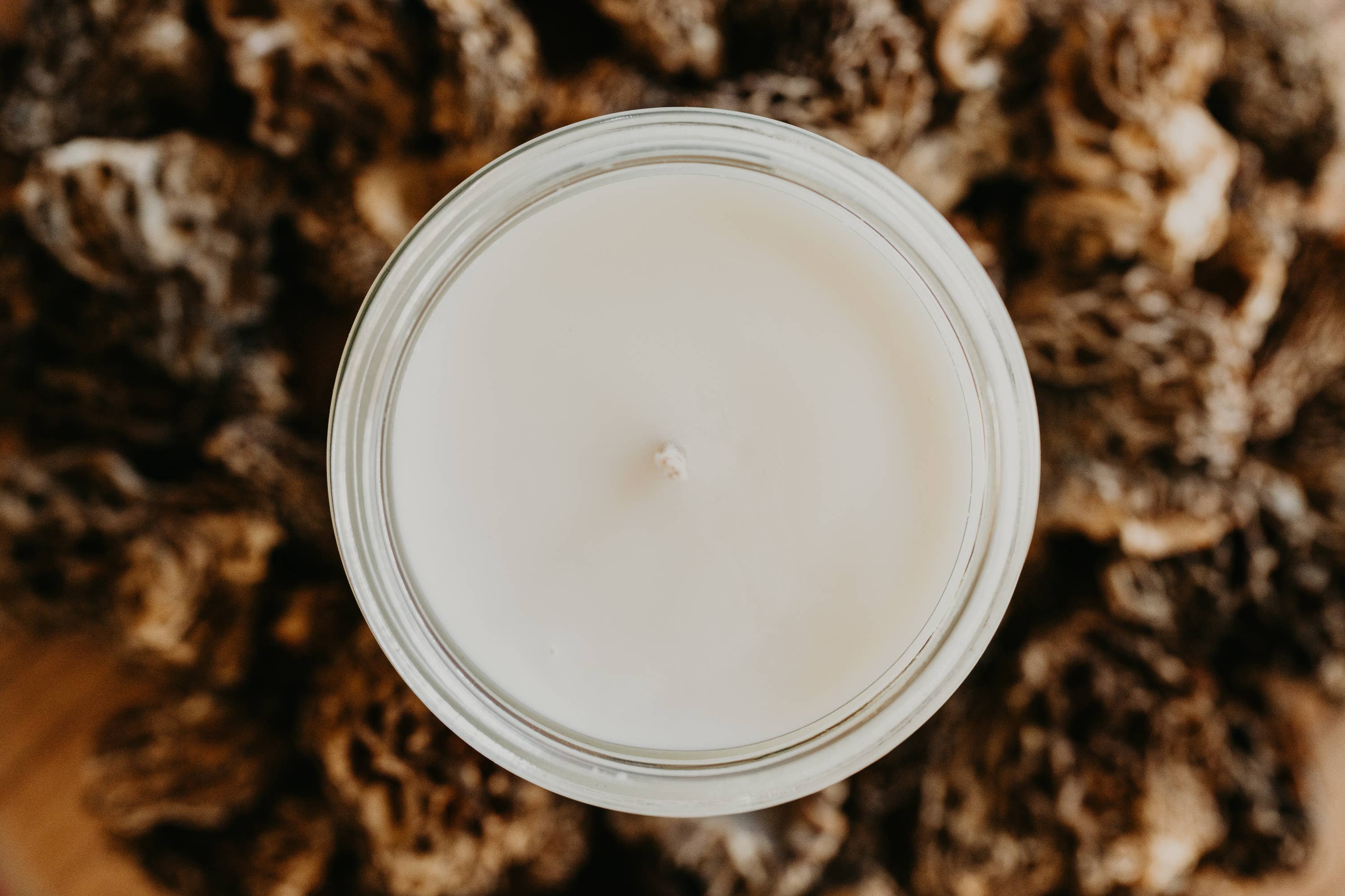 Woodsy Wicks – wholesale Burkljus – Morel Jaktljus - Svamp - Petrichor6