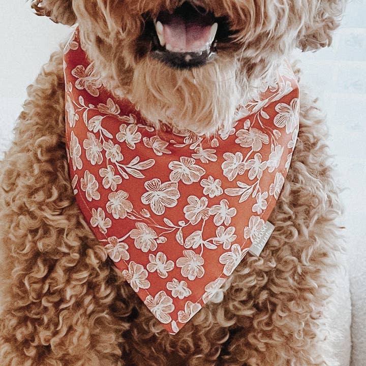 Zucca Spezia per la vendita all'ingrosso da parte di Moose Prints