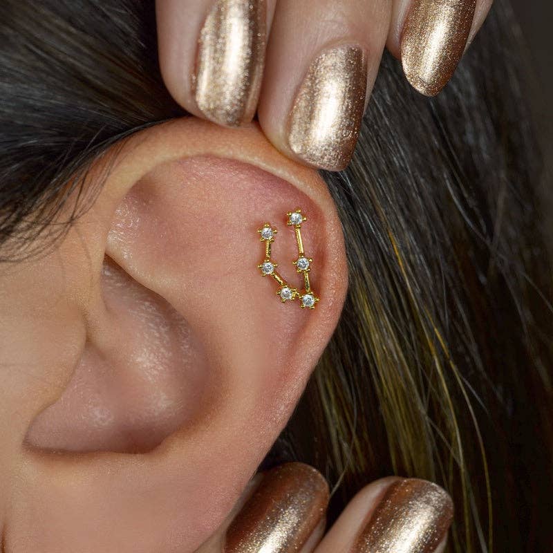 StockJWL - Wholesale Stud/Post Earrings - 12 Zodiac Earrings, Constellation Stud Earring Stud Piercing Tragus Helix Lobe and Cartilage Silver And Gold55