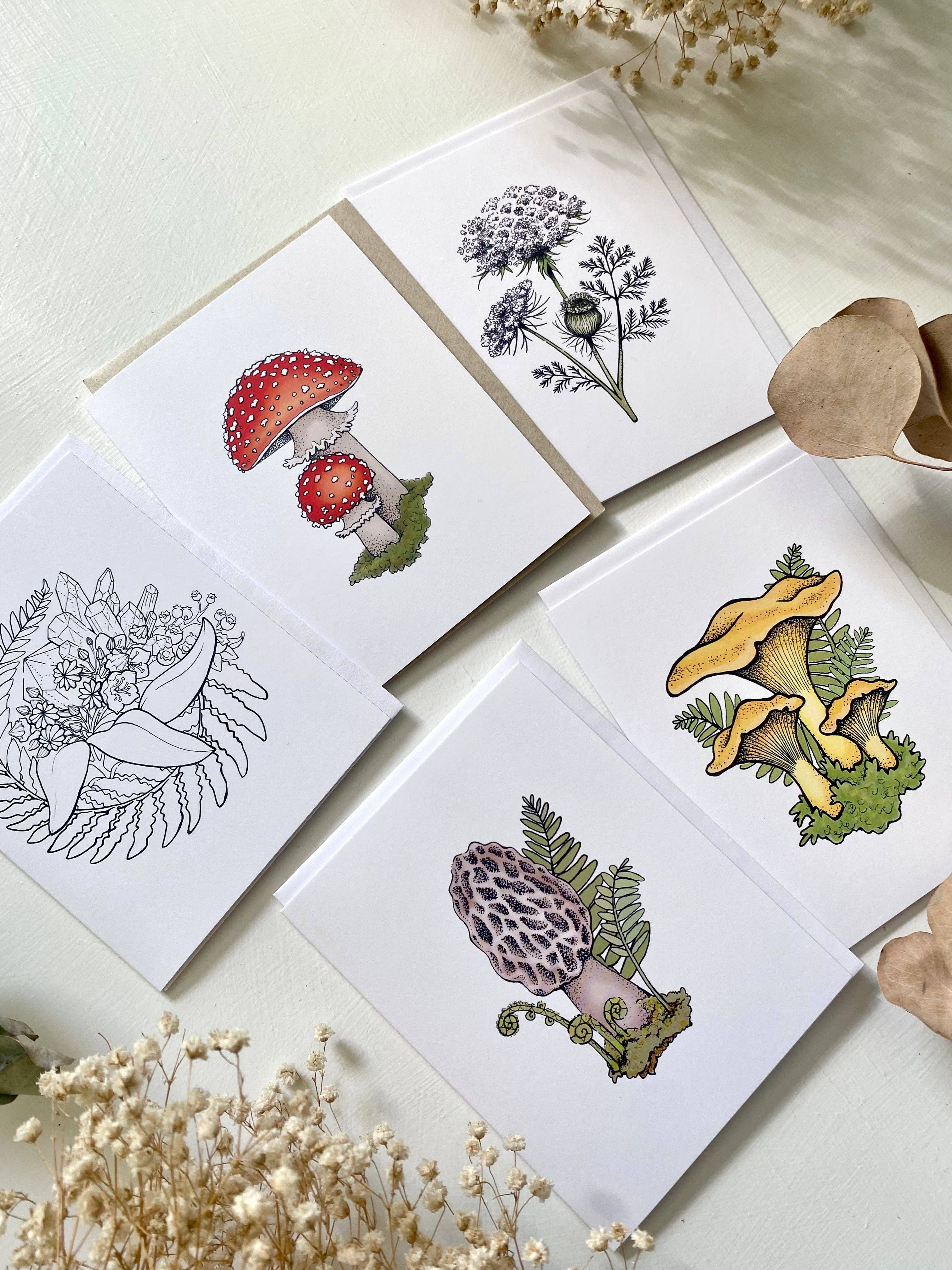 Wanderite – wholesale Everyday greeting card – Queen Anne's Lace Blank Card4