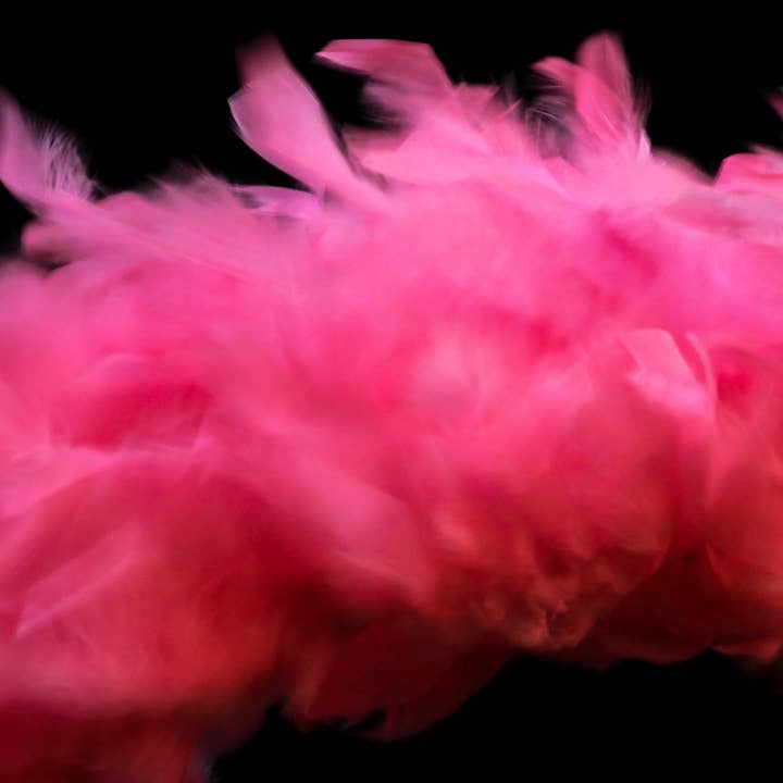 Pink Feathers Photography Art Multi-Size wanddecorprint voor wholesale door Hope Decor