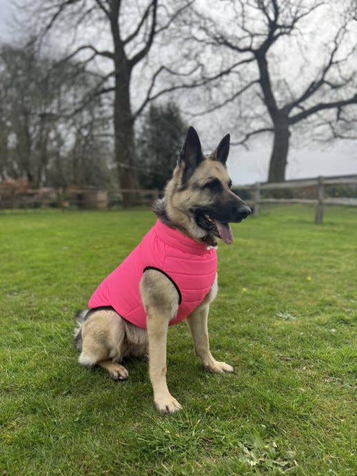 Henry Wag - Venta al por mayor Abrigo - Perros - Abrigo Acolchado para Perros de Doggy Concepts Outerwear13