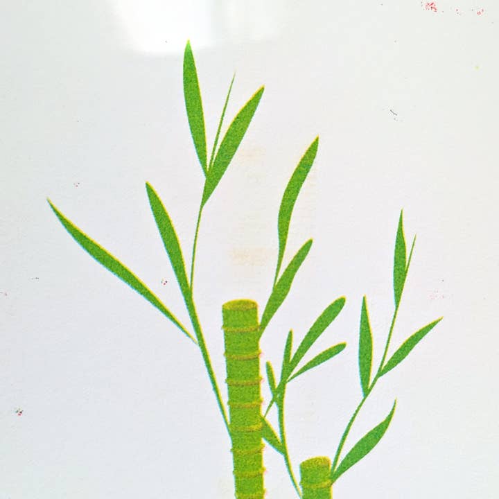 NMC Design Studio - Wholesale Art Print - Lucky Bamboo Risograph Print3