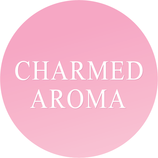Charmed Aroma Dog Mug Candle Necklace & Collar Tag with Bath Bomb Bracelet  Set