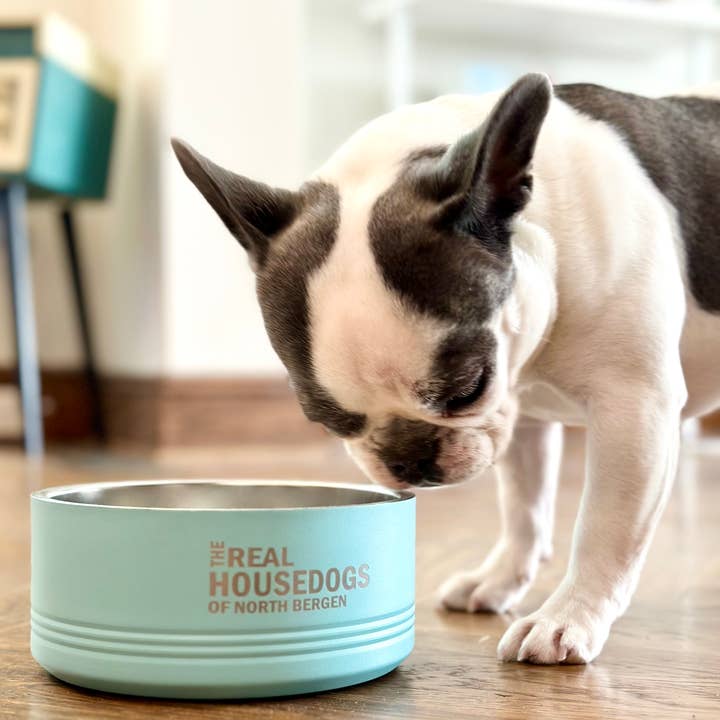 Calm Down Caren - Wholesale Pet Bowl - Cat/Dog - The Real Housedogs of CUSTOM CITY Pet Bowl - Real Housewives