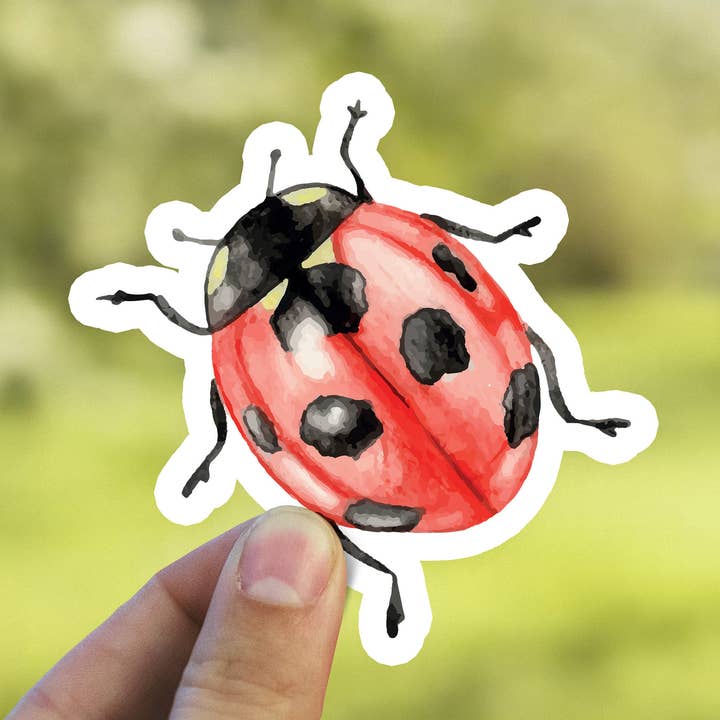 Watercolor Ladybug Waterproof Sticker for wholesale by Heirloom Ink