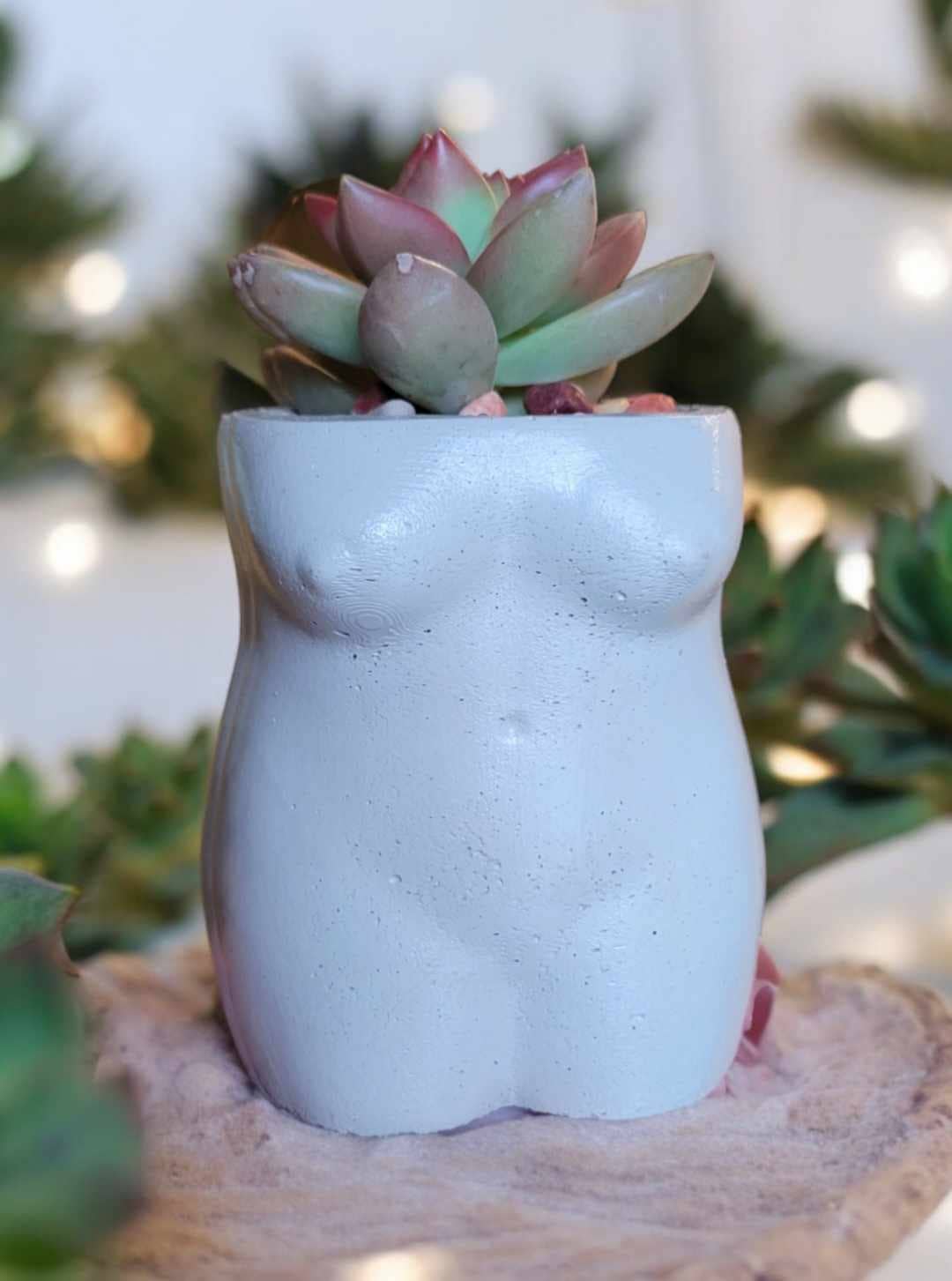 Fern and Folk - Wholesale Plant Pot - Body Pot | Female Planter | Female Pot | Female Planter4