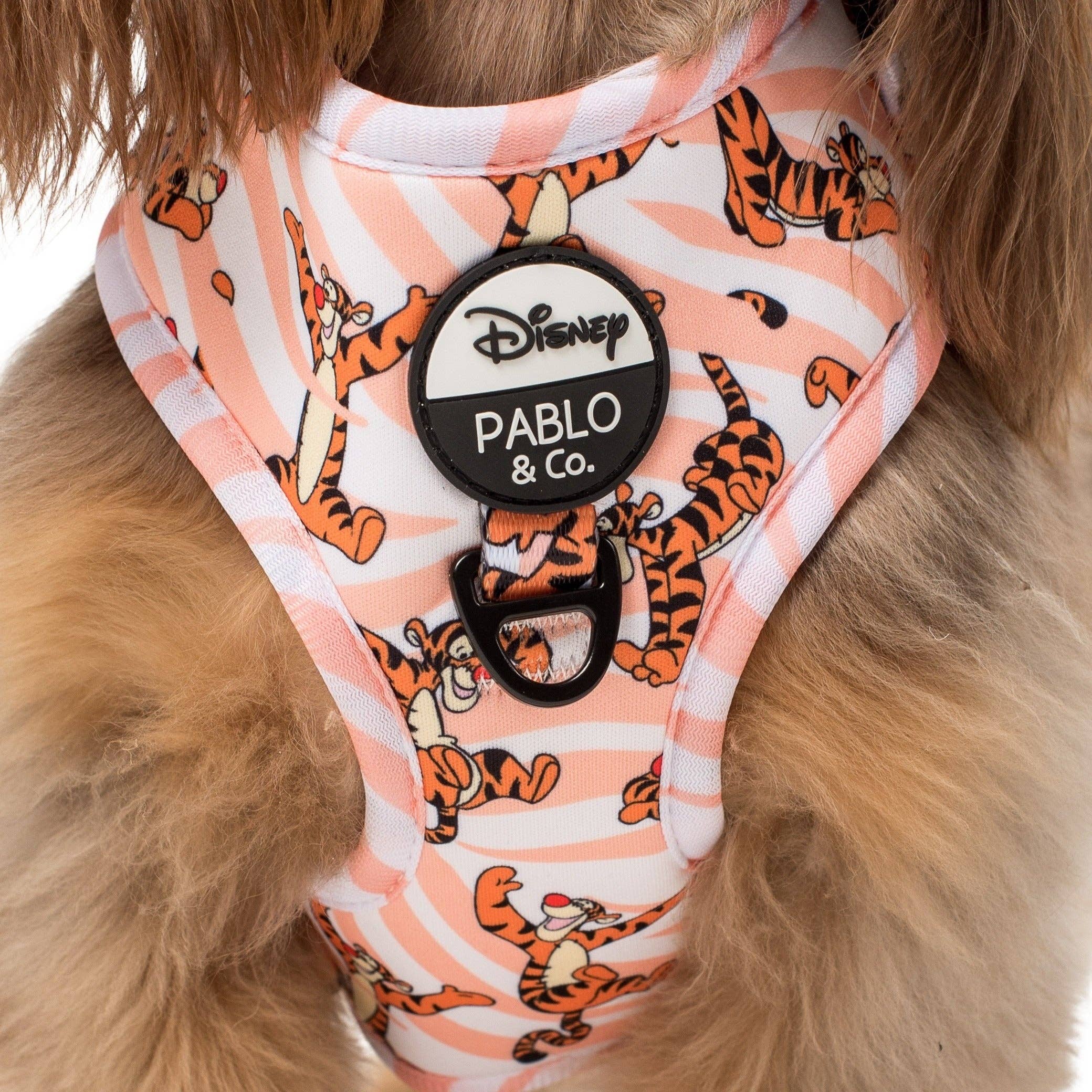 Pablo & Co. Boutique – Engroshandel Kæledyrssele – Hund – The One of a Kind Tigger: justerbar sele1