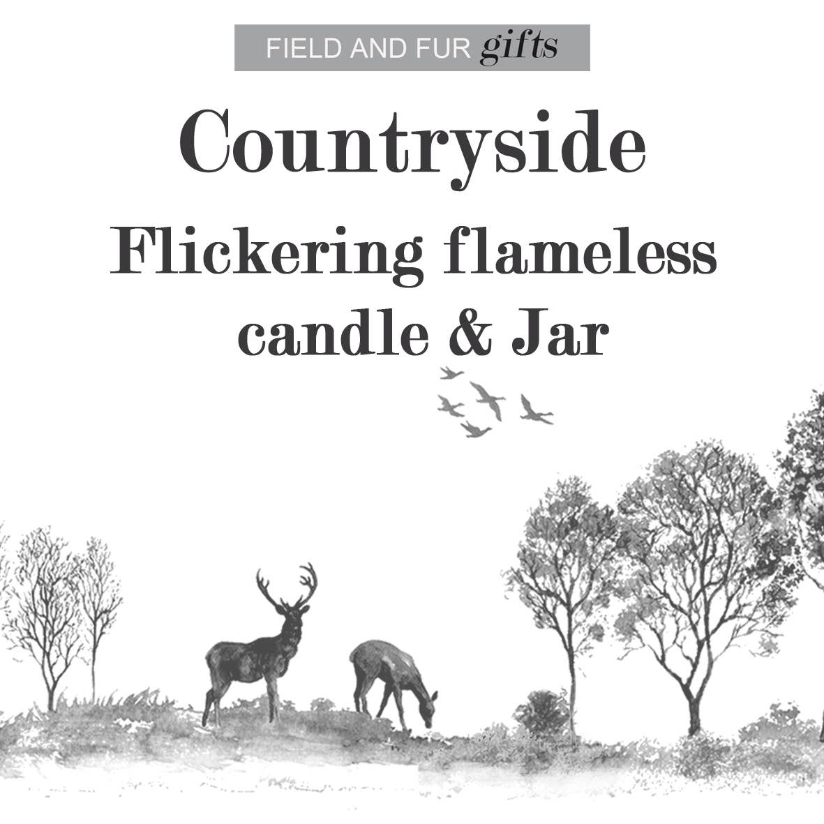 Field and Fur Gifts – wholesale Flameless candle – Flameless Flickering Candle Jar, Countryside1