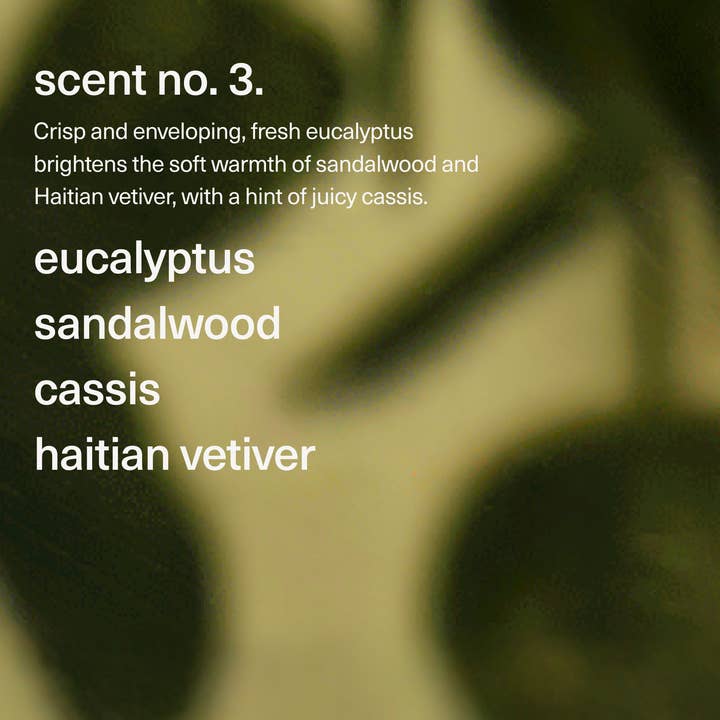 maude - Wholesale Jar/Filled Candle - Burn no. 3 - massage candle, eucalyptus, sandalwood, gifts.4