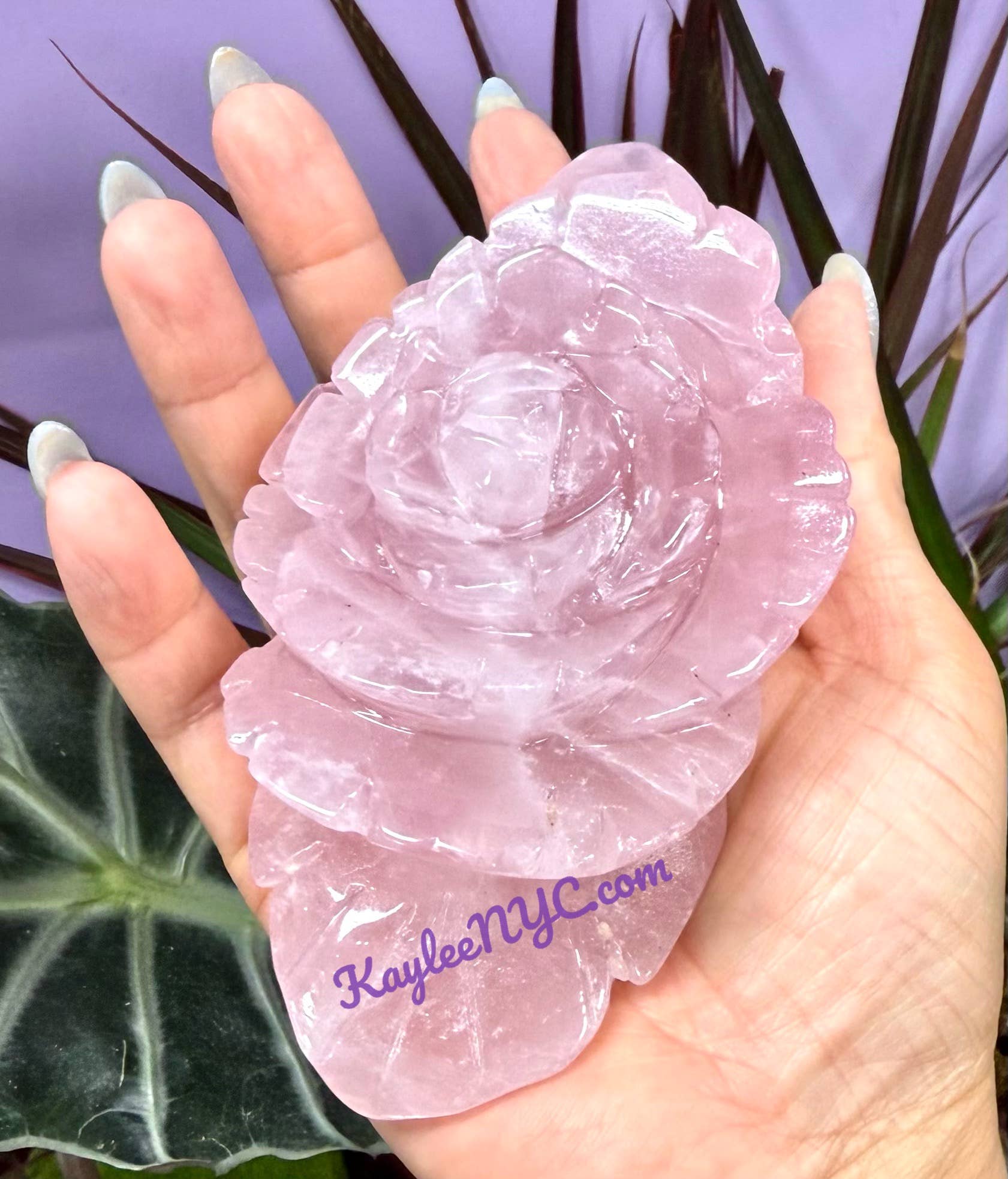 KayleeNYC - Wholesale Spiritual Stone/Crystal - 5-8 pcs Natural Rose Quartz Roses Healing Energy9