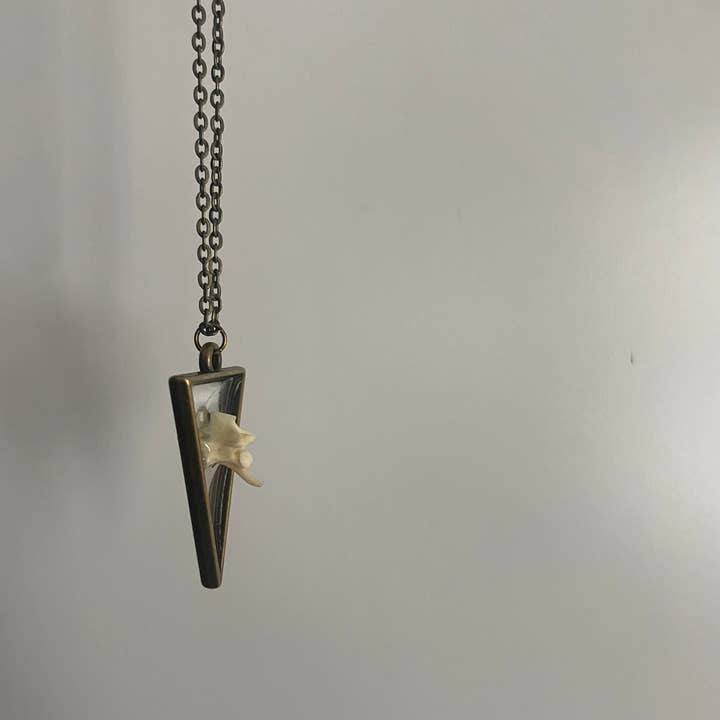 The Wolfshop - Venta al por mayor Collares con colgantes/abalorios - Collar Oddity - Vértebras de serpiente de cascabel pigmea