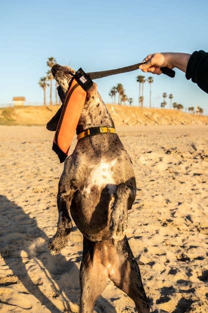 Katie's Bumpers - Wholesale Pet Rope Toy - Dog - Best KB Big Tug Dog Tug Toy6