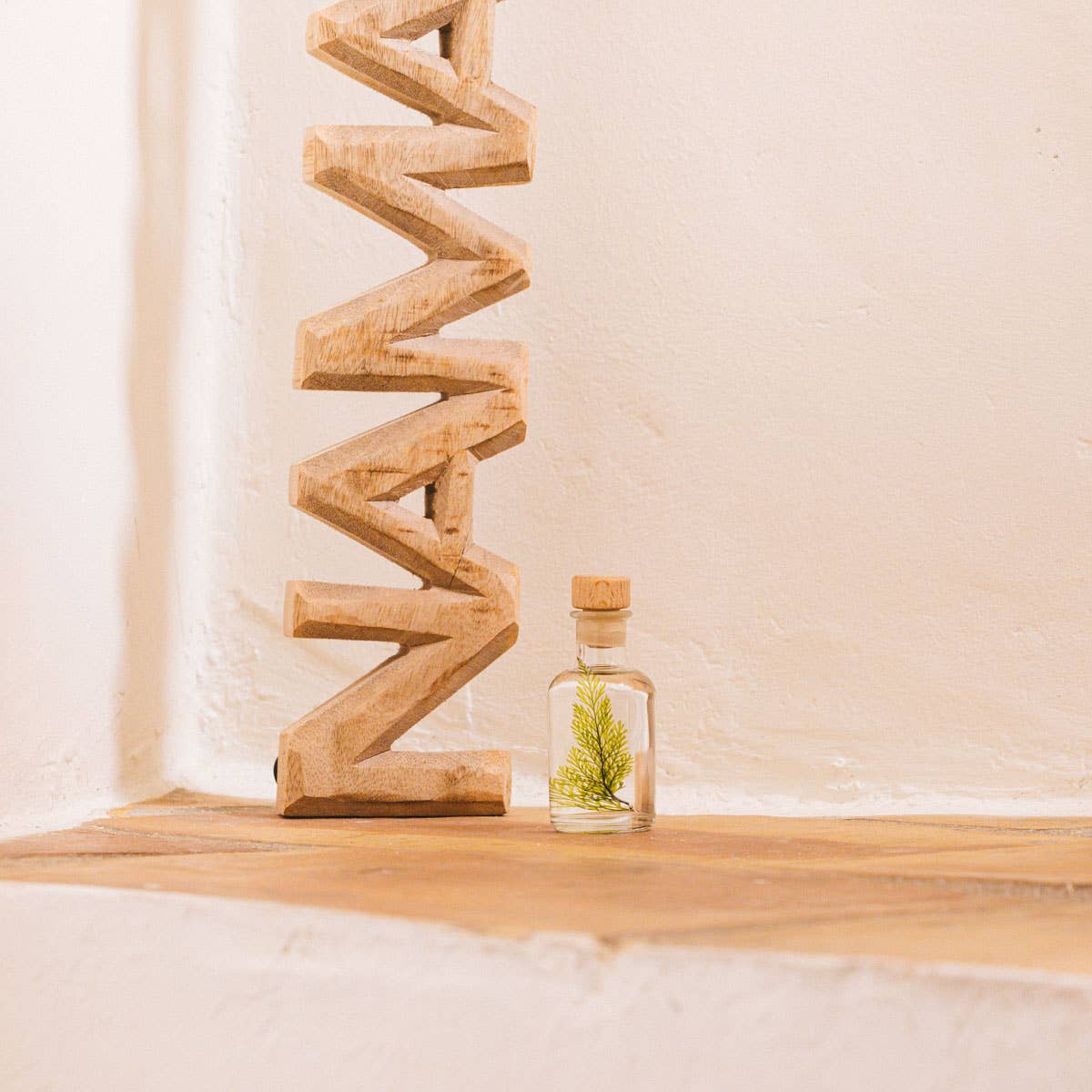 Theophile Berthon - Wholesale Live Plant - The Tabalia Fern Herbarium - submerged plant0