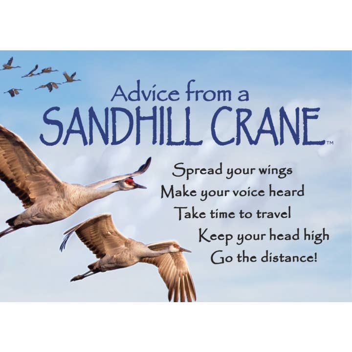 Advice from a Sandhill Crane Jumbo Magnet for wholesale by Advice for Life by Your True Nature