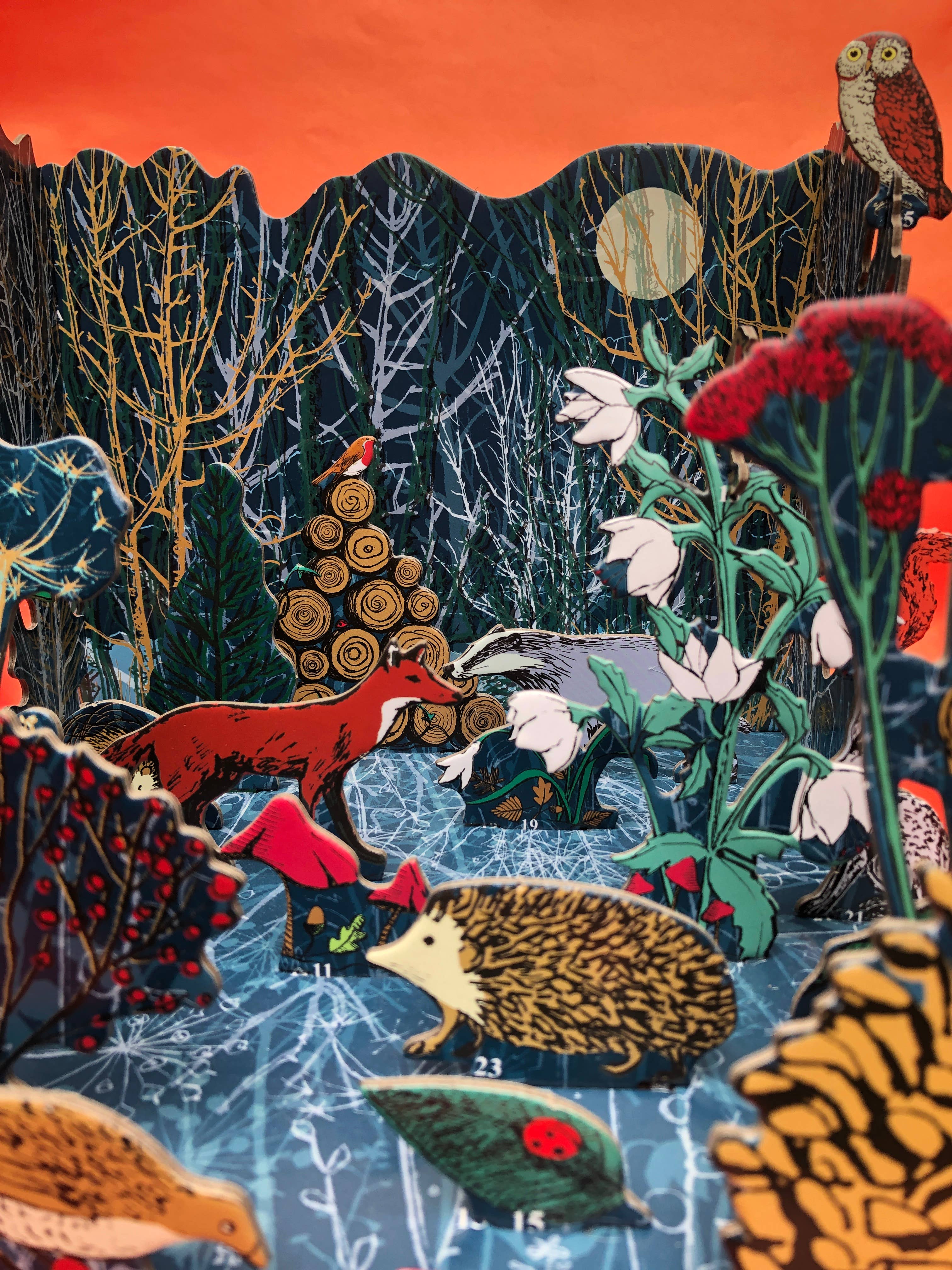 Roger La Borde - Wholesale Advent Calendar - Winter's Tale Pop & Slot Advent Large  - POPAL 6025