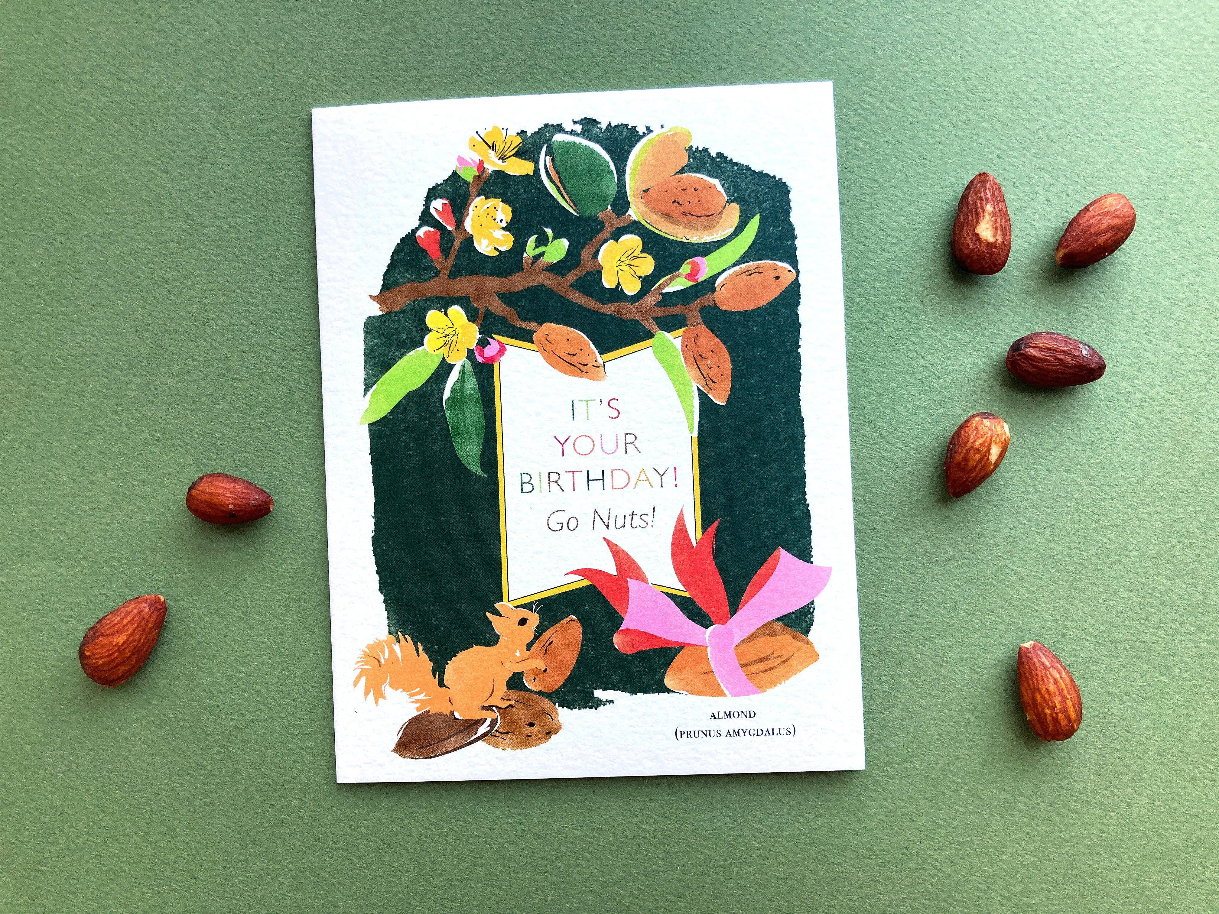 Driscoll Design – wholesale Birthday card – Squirrel with Almond Birthday Card1