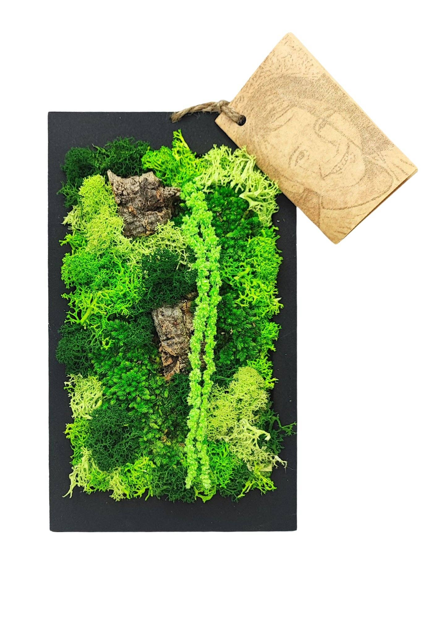 REMOVED BRAND - Wholesale Wall Accent - Rectangular Frame of Stabilized Moss and Lichens "Medusa's Moss" size 14.5x24.50