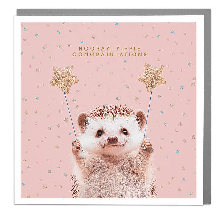 Hedgehog - Hooray, Yippie, Congratulations! Card by Lola Design for wholesale by Lola Design Ltd