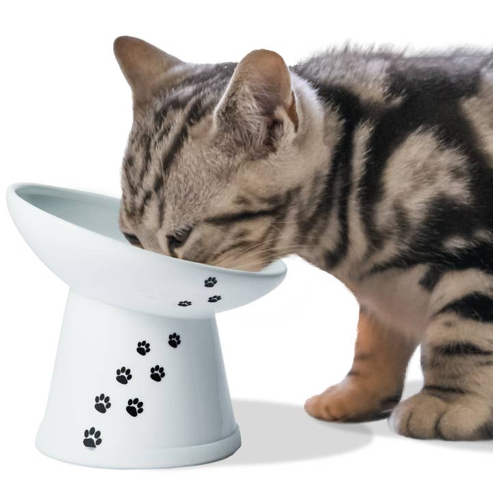 Tilted Stress Free Raised Cat Food Bowl, Regular (Cat)
for wholesale by MOON-X USA, INC.