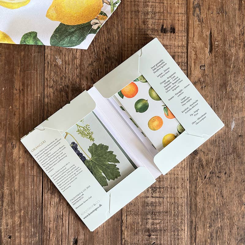 Koustrupco - Wholesale Stationery/Notecard Set - Cardfolder Orangerie - 8 cards w/envelopes (german)3