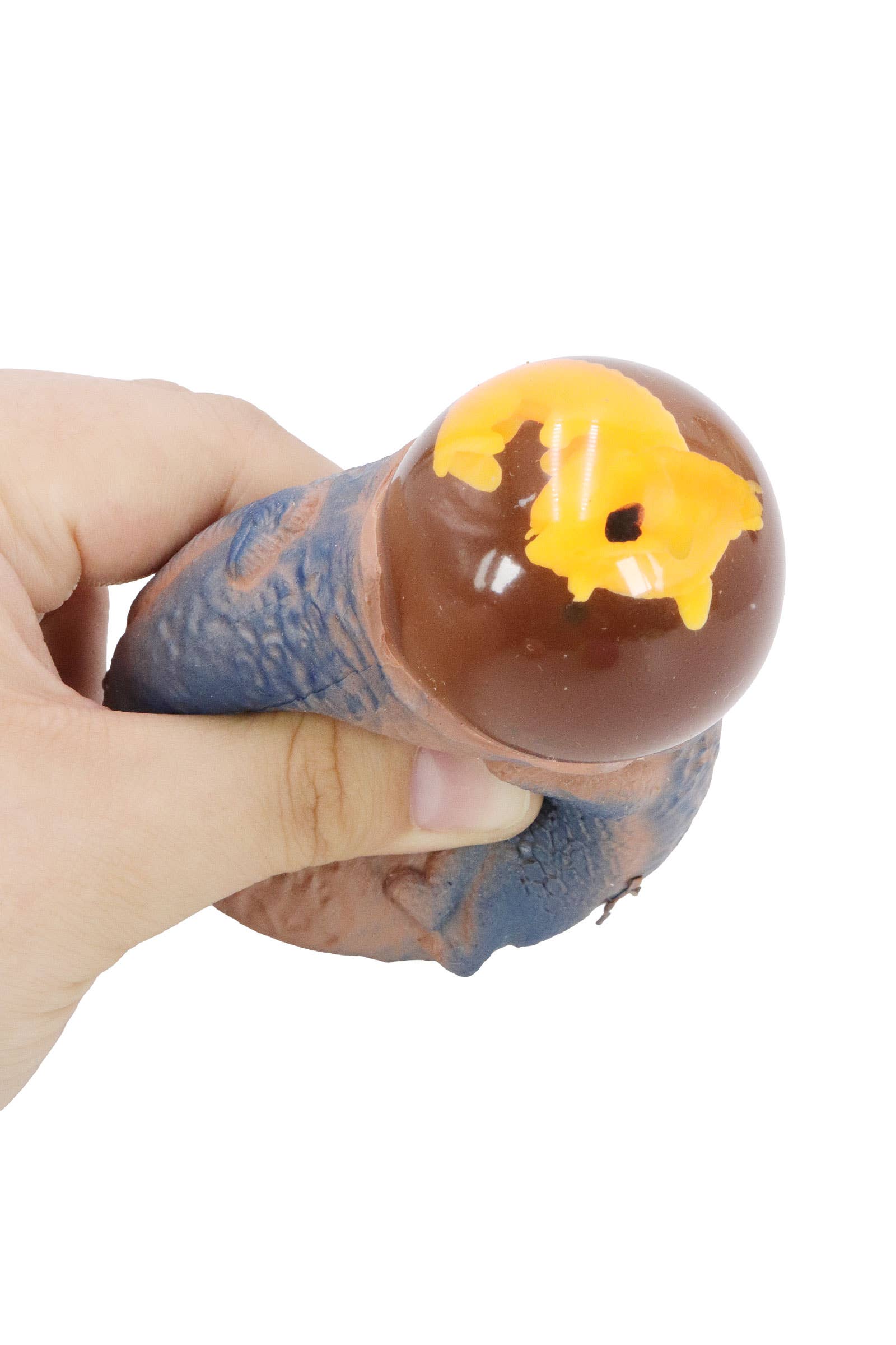 ASSORTED Dinosaur Egg Fossil Figure Water Filled Squishy for wholesale on Faire10