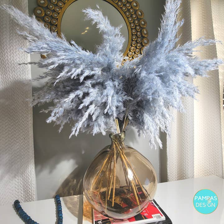 Grey Gray Pampas Grass Large Fluffy 10 Stems for wholesale by Pampas Design