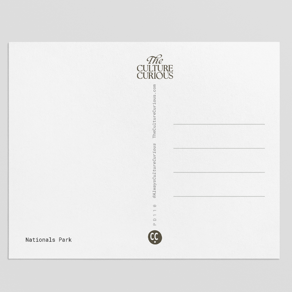 The Culture Curious - Vendita all'ingrosso Cartoline - Cartolina del Nationals Park5