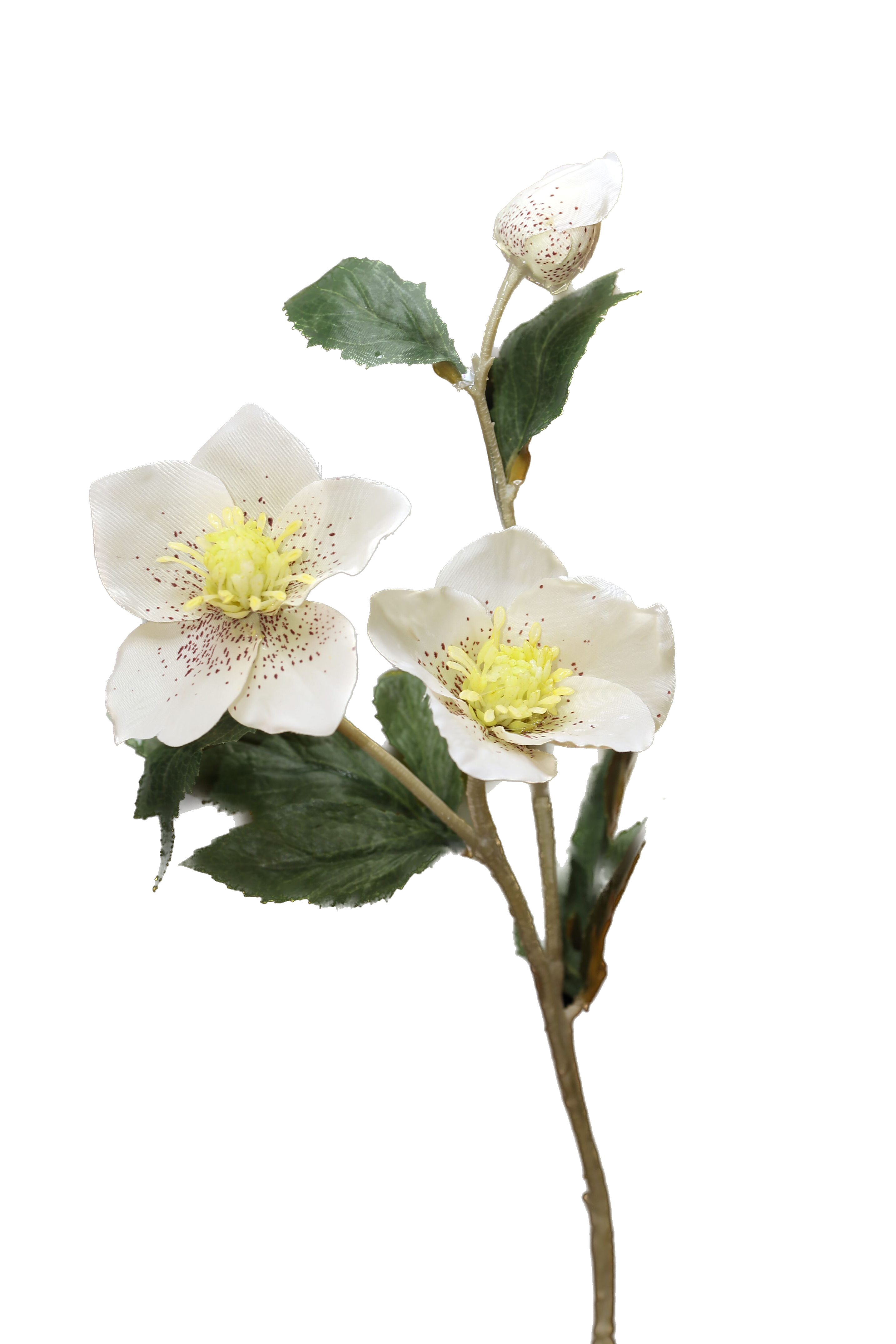 Mezu Silk Flowers – wholesale Konstgjorda blommor – Konstgjorda vita Hellebores2