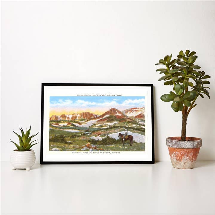 Found Image Press - Vendita all'ingrosso Stampa artistica - Stampa d'arte WY-71 Snowy Range, Foresta Nazionale di Medicine Bow, W1