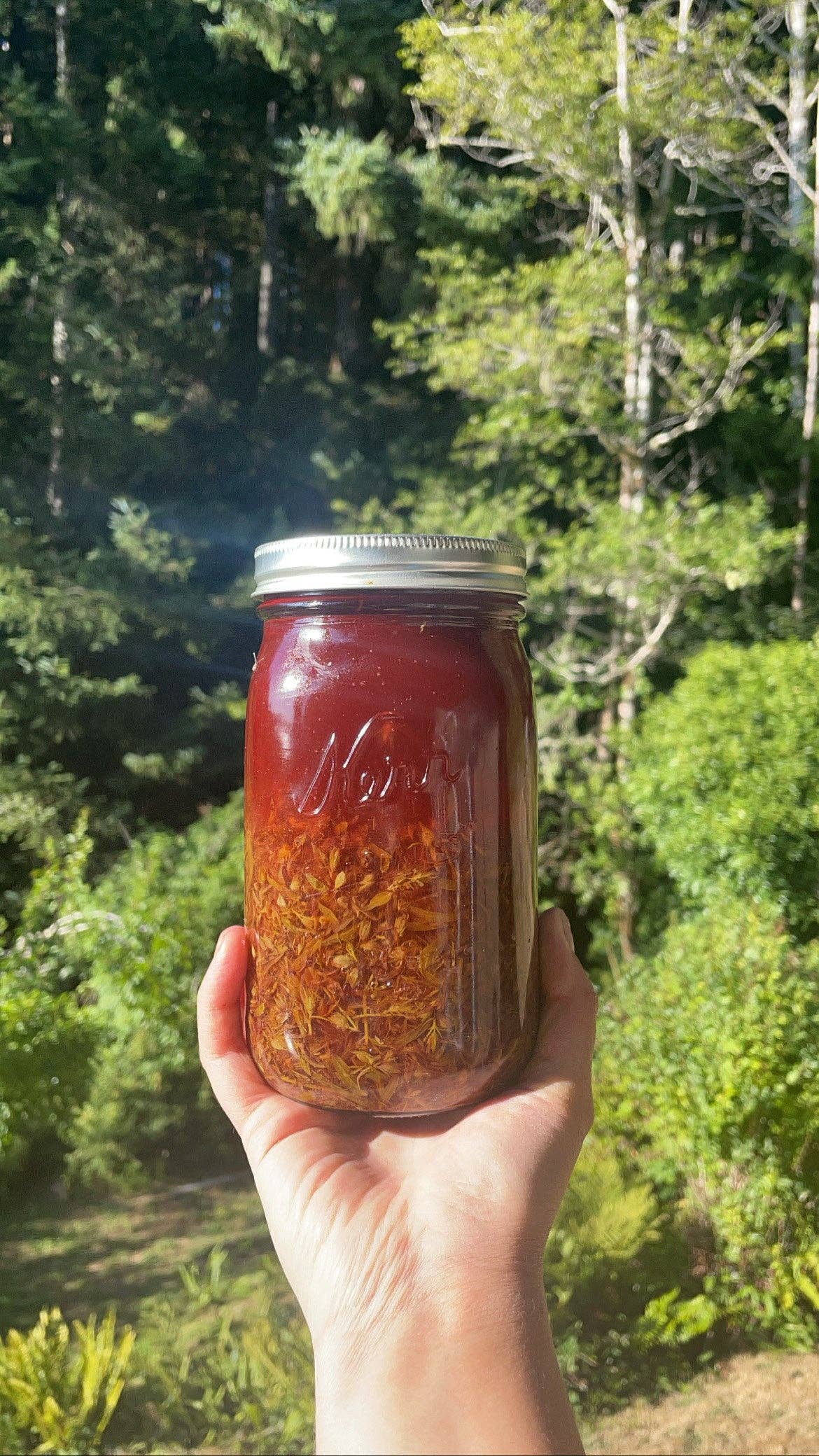 Rose & Crown Apothecary - Wholesale Bath/Body Oil - Saint John's wort - nerve relief oil1